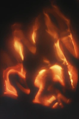 pt © Paula Rosa Leu & Oliver Zuber