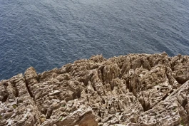 ls © Paula Rosa Leu & Oliver Zuber