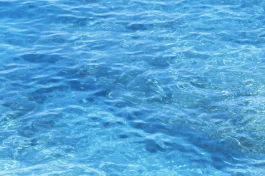 ls © Paula Rosa Leu & Oliver Zuber