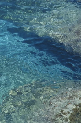 pt © Paula Rosa Leu & Oliver Zuber