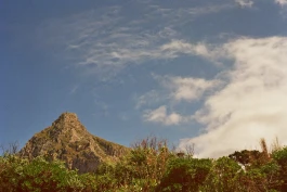 ls © Paula Rosa Leu & Oliver Zuber