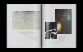 © Paula Rosa Leu & Oliver Zuber